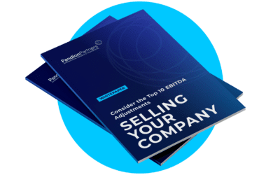 White paper: selling your company